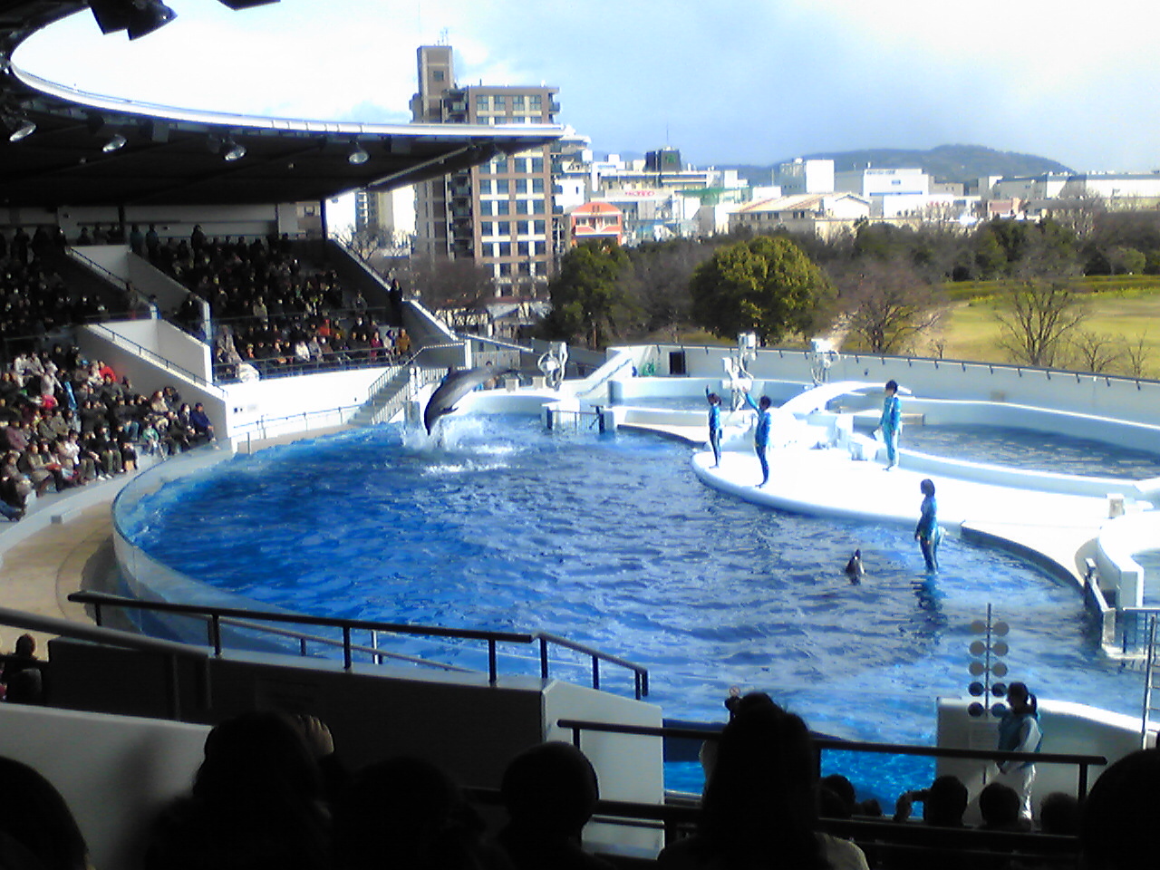 Bienvenue! A l'aquarium de Kyoto!